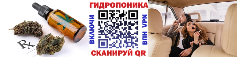 где можно купить наркотик omg ТОР Cannafood конопля Андреаполь