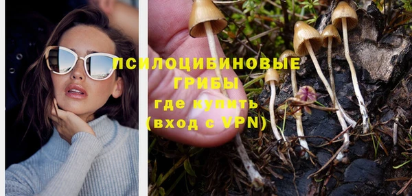 спайс Алексин