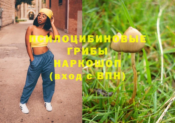 СК Алексеевка