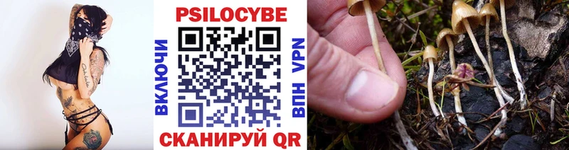Галлюциногенные грибы мухоморы  Андреаполь 